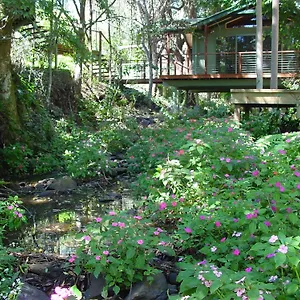 **** Resort Treetops Australia